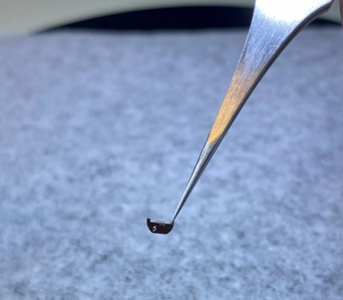 Holding on for Dear Life